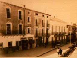 Mula Antigua